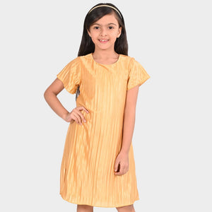 Girls Pleated Polyester Dress