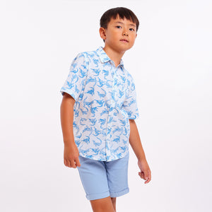 Boys Dinosaur Printed Shirt